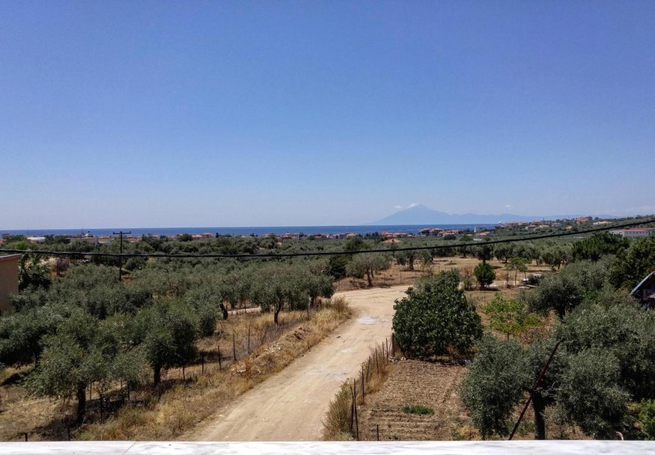 Olive Grove House Leilighet Limenária Eksteriør bilde