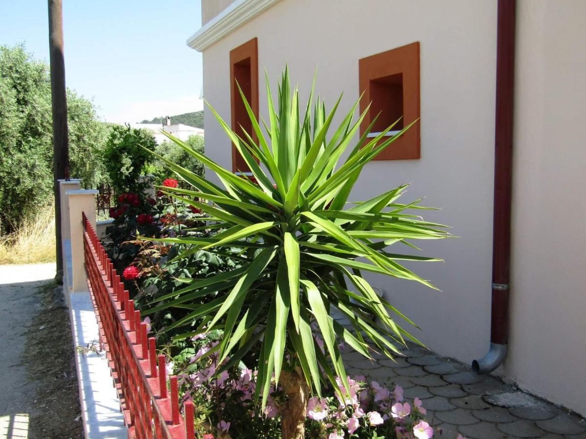 Olive Grove House Leilighet Limenária Eksteriør bilde